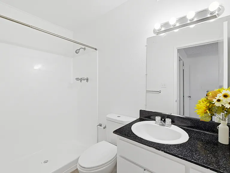 Modern walk-in shower for a spa-like experience.