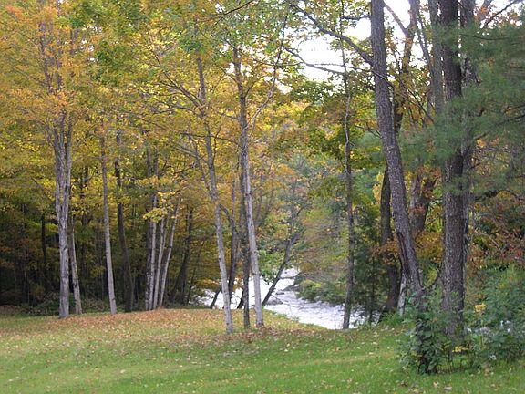 backyard view to Ball Mountain Brook