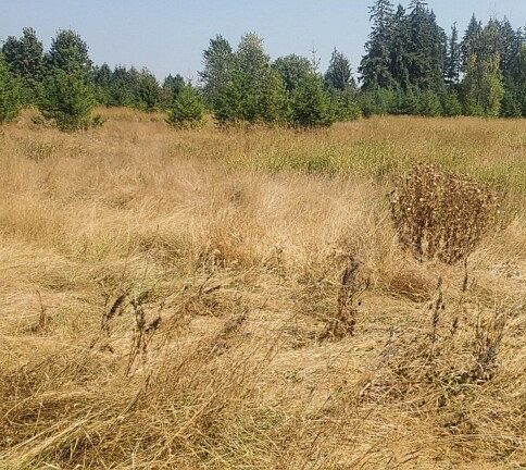 4th image of 0 NE 72nd Avenue