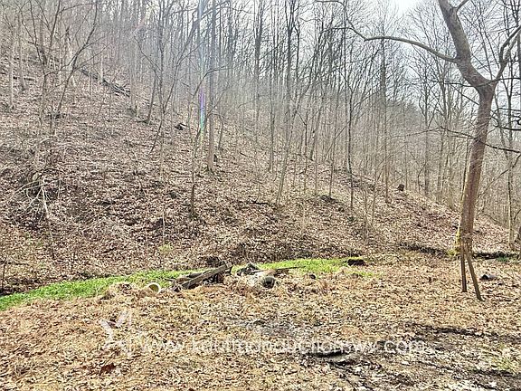 5th image of 0 Pete Hollow Rd