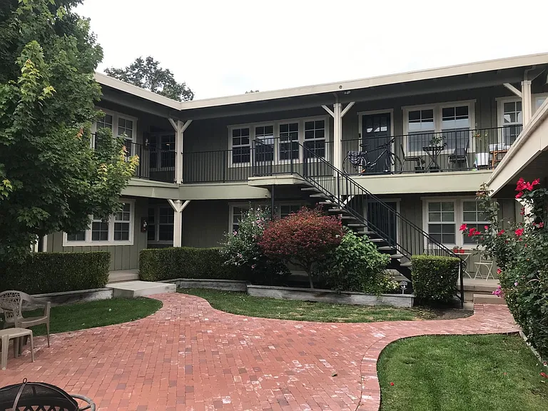Brown — Photo 1