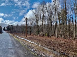 22 Beech Rd LOT 22, Altmar, NY