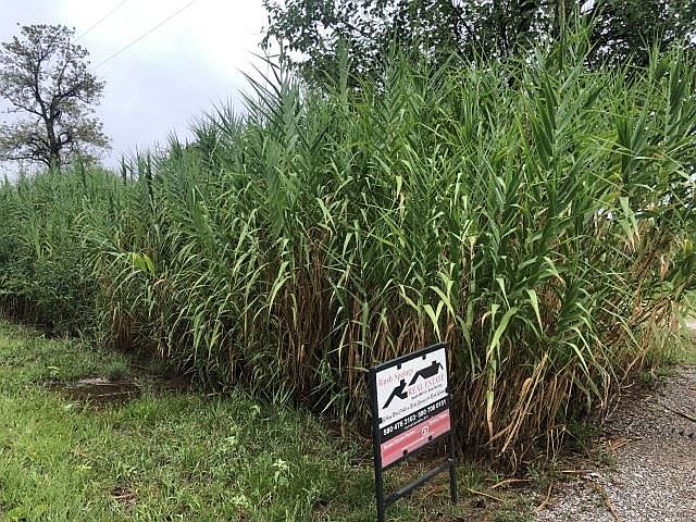 1st image of 760 County Road 1570
