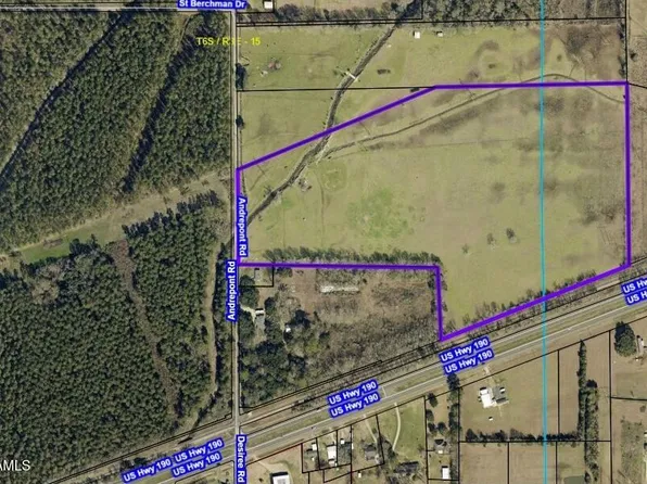 Andrepont Rd, Opelousas, LA 70570