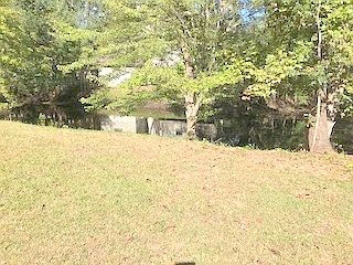 3rd image of 6300 Windwood Hills Cir
