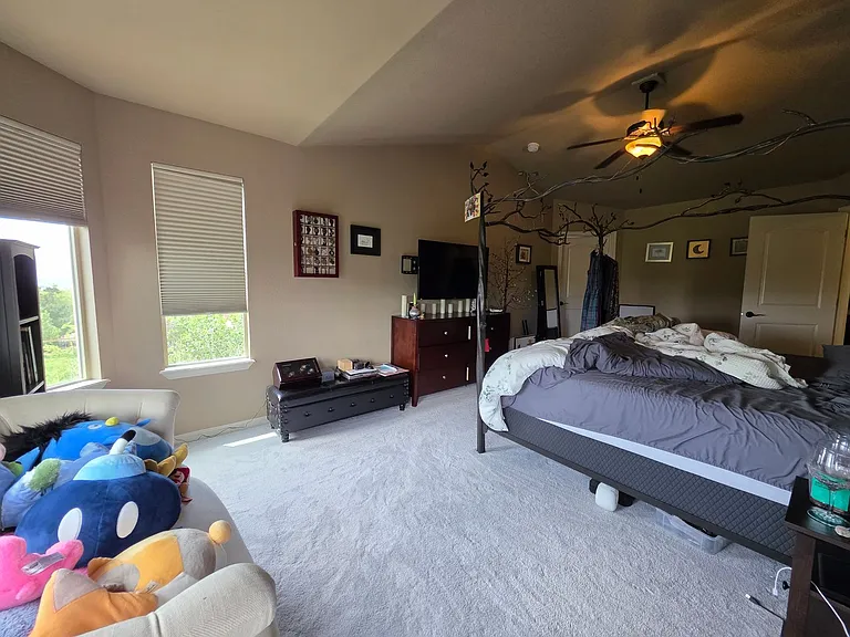 3009 Bella Cima Dr — Photo 15