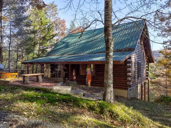 46 Candice Ct N #374, Blue Ridge, GA 30513