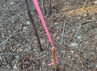 948 Smyrna Church Rd, Molena, GA 30258