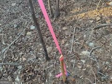 948 Smyrna Church Rd, Molena, GA, 30258