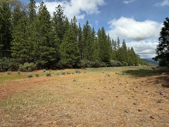 Ponderosa Way, Shingletown, CA 96088
