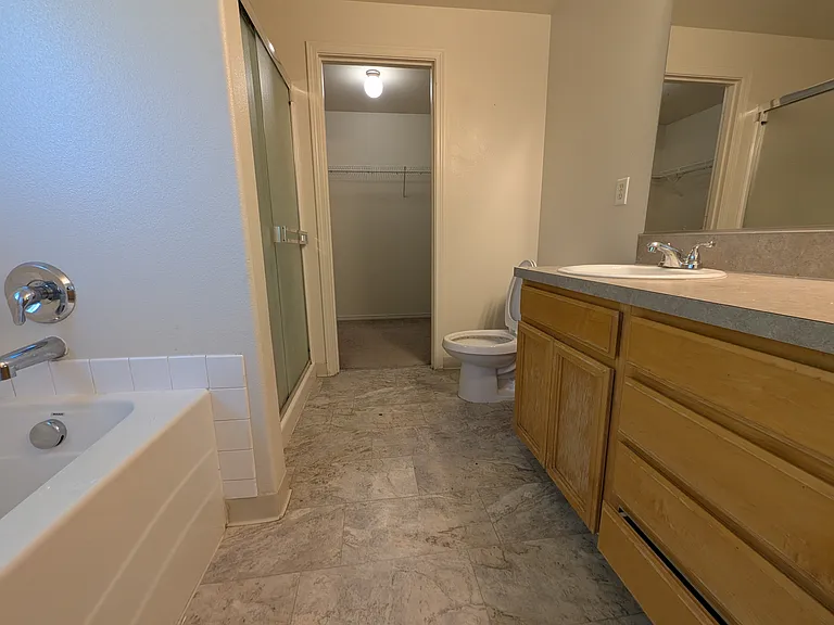 Primary Bathroom with Walk in Closet, Bathtub, Shower, and Dual Sinks