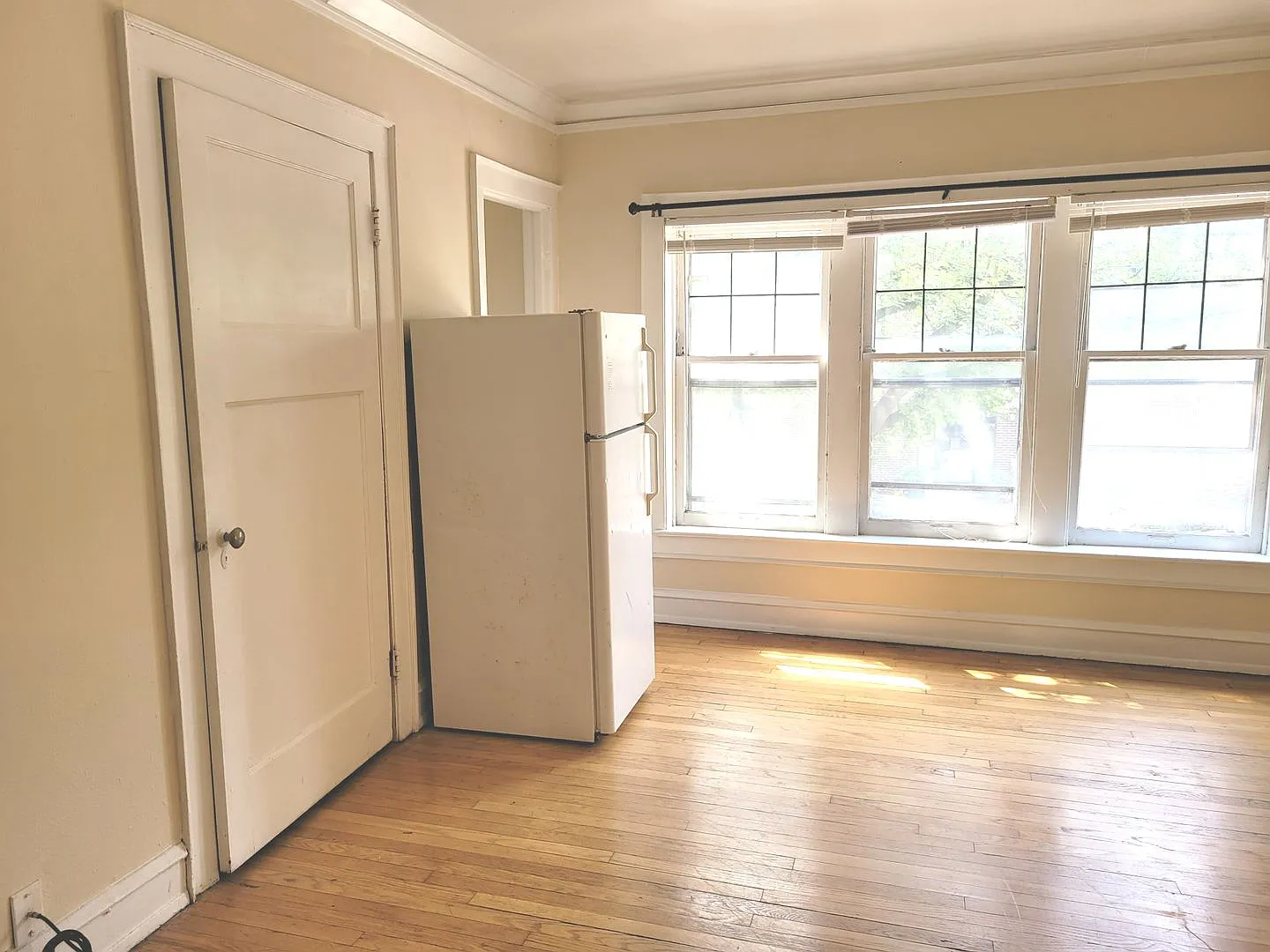 1303 Cass — Photo 4