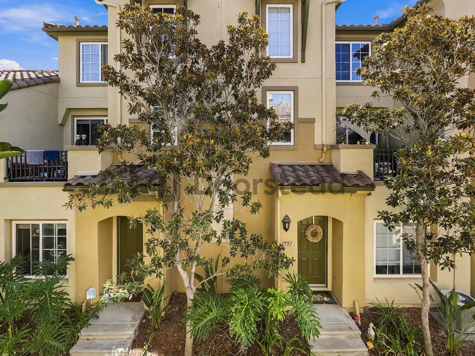 3 bed, 2.5 bath, 1245 sqft, $3,800 — Photo 4