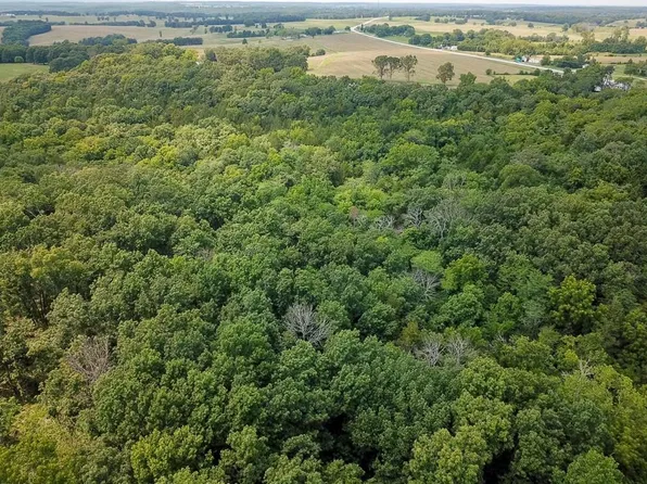 0 Us Highway 65, Cross Timbers, MO 65634