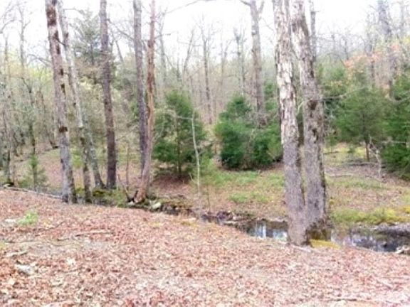 3rd image of 43 Winding Branch Ln