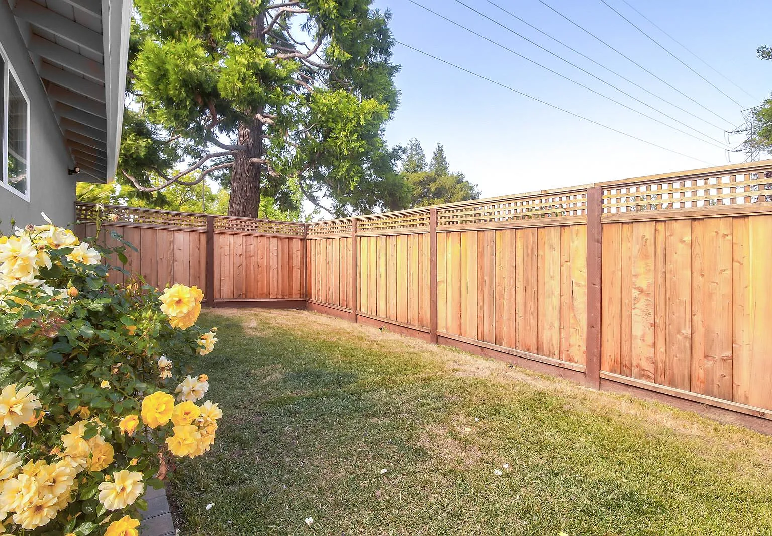3 bed, 1500 sqft, $5,950 — Photo 3