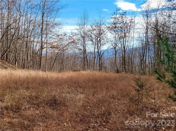 198 Cherry Hl, Mill Spring, NC 28756