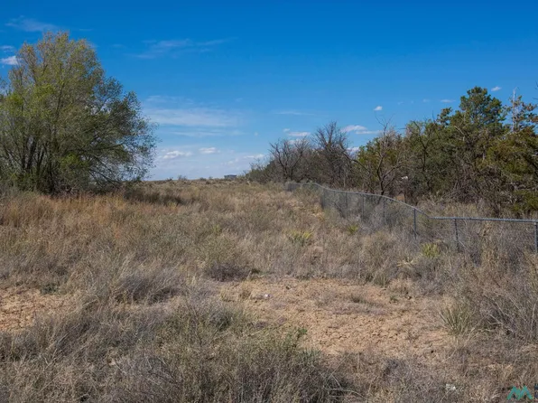 1 Block 11, Willard, NM 87063