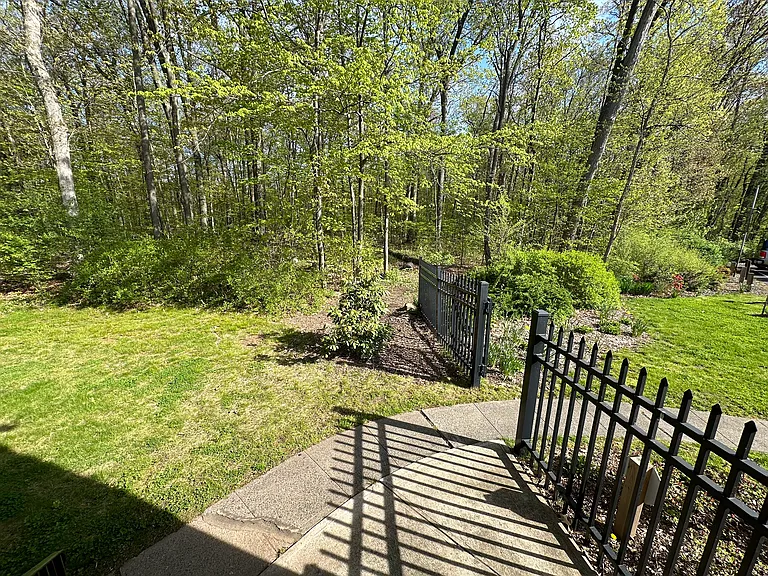View from back porch looks onto woodlands of Farmington.