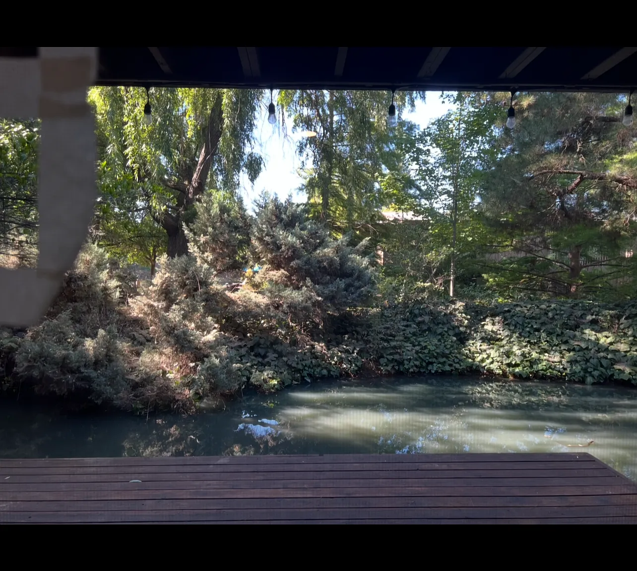 1 bed, 760 sqft, $1,700 — Photo 2