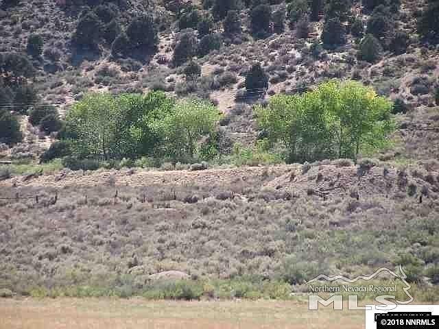 2nd image of 261 Angelina Cir