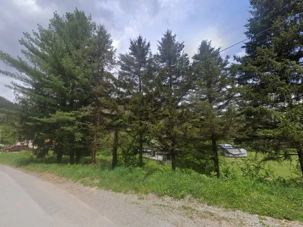 452 Dry Ridge Rd, Valley Head, WV 26294