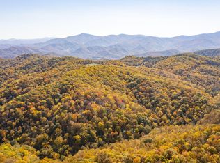 Roaring Creek Rd, Roan Mountain, TN 37687