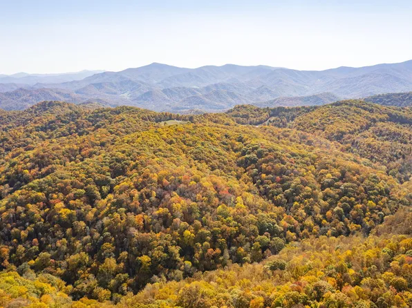 Roaring Creek Rd, Roan Mountain, TN 37687