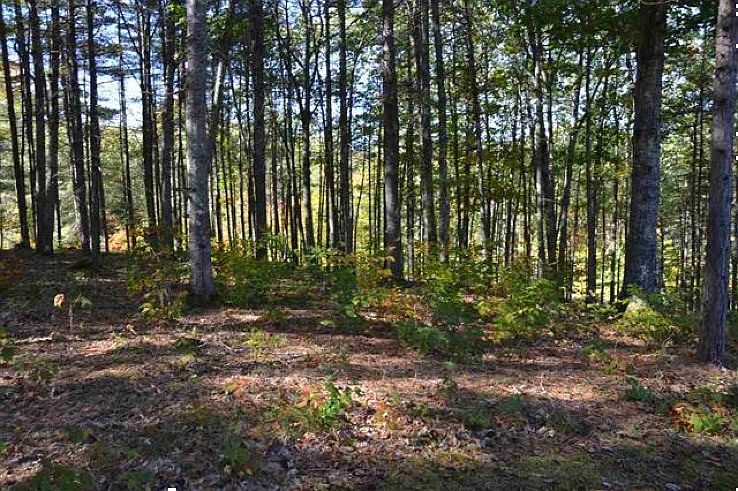 2nd image of Canaan Rd