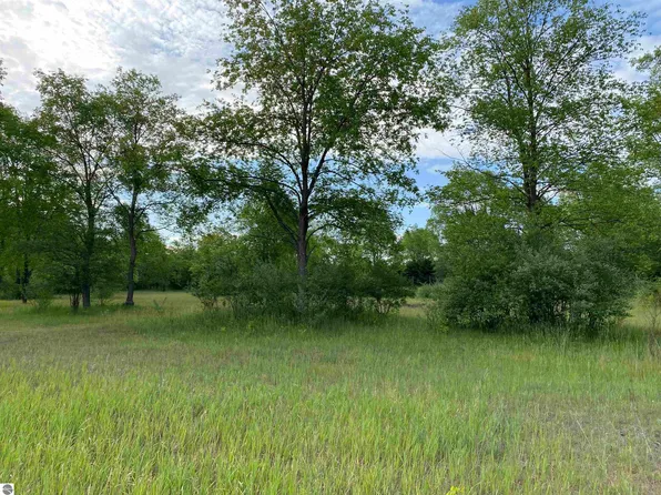 26 Deer Track Trl, Thompsonville, MI 49683