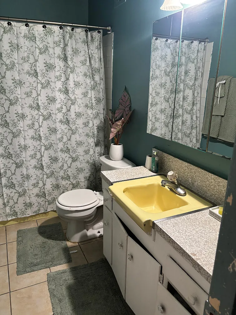 1 bed, $1,100 — Photo 4