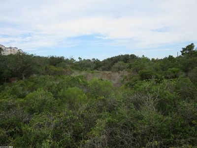 Cabana Beach Road Blk E LOT 8, Gulf Shores, AL, 36542