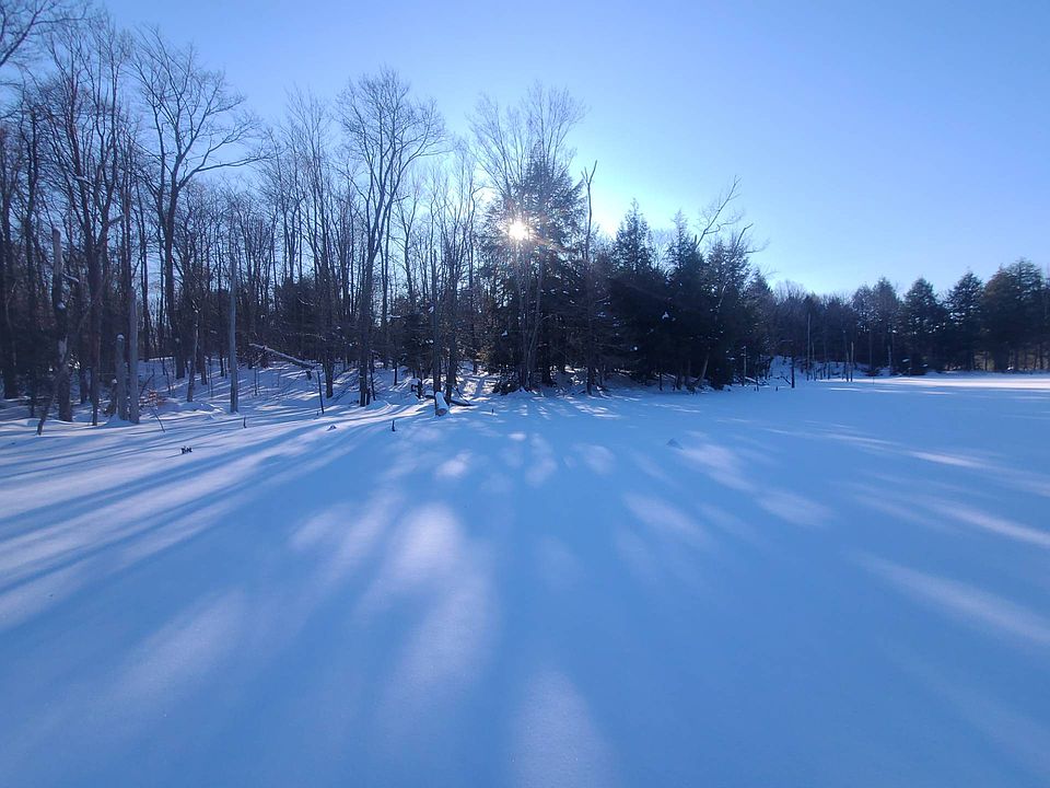 4011 Osceola Rd, West Leyden, NY 13489 Zillow