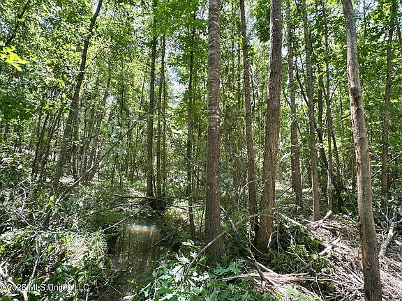 5th image of 2 McNair Springs Rd