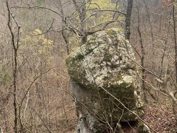 770 Brushy Dr, Harriet, AR 72639