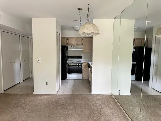 1127 S Lake Ct #101 — Photo 4