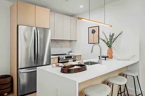 250 W 49th St #9204 Photo 1