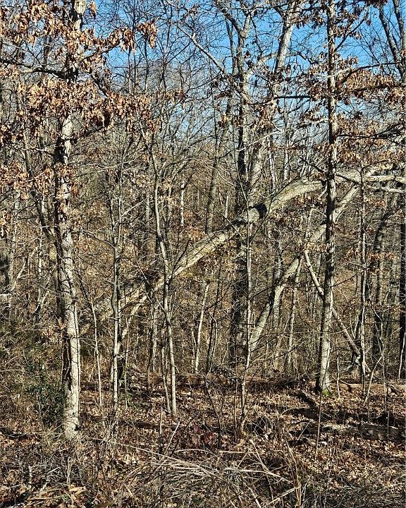 1st image of Wootton Dr #9