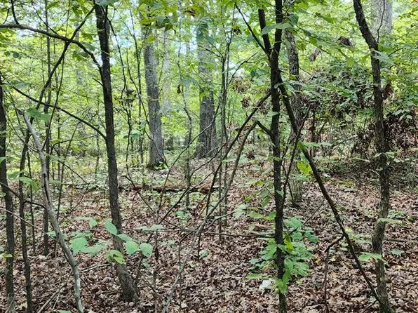 0 Cardinal Dr, Big Sandy, TN 38221