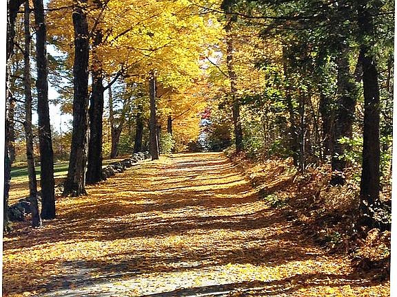 On a beautiful country lane