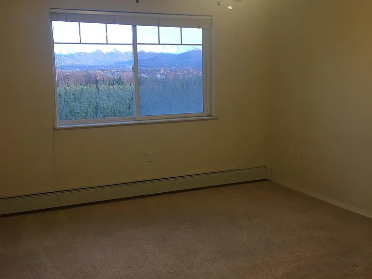 11351 Discovery View Dr — Photo 6