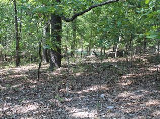 0 Eagle Ridge Rd LOT 28, Protem, MO 65733