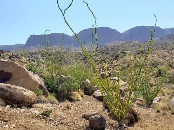 184 Black Hill Rd, Terlingua, TX 79852