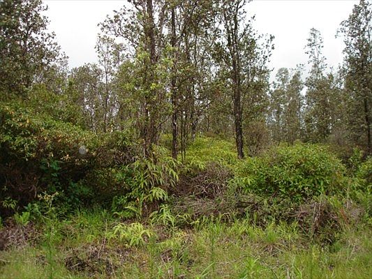 2nd image of Pukalani Dr