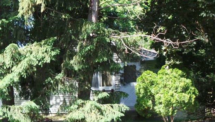 2nd image of 2055 3rd St N