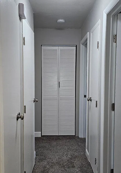 81 Woods Dr