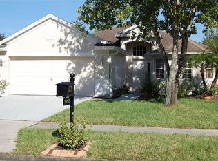 19119 Dove Creek Dr, Tampa, FL 33647