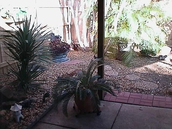 Beautifully landscaped yard with covered patio!