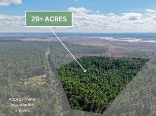 Off Hwy LOT 325-2, Hawthorne, FL 32640