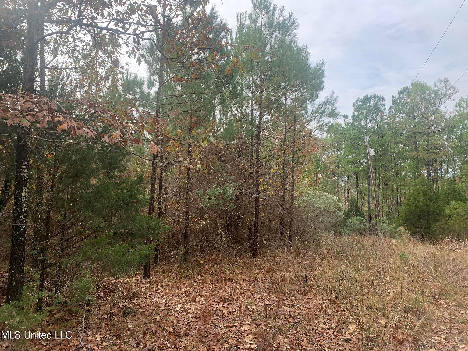 Eddie Willis Dr, Gore Springs, MS 38929 Zillow